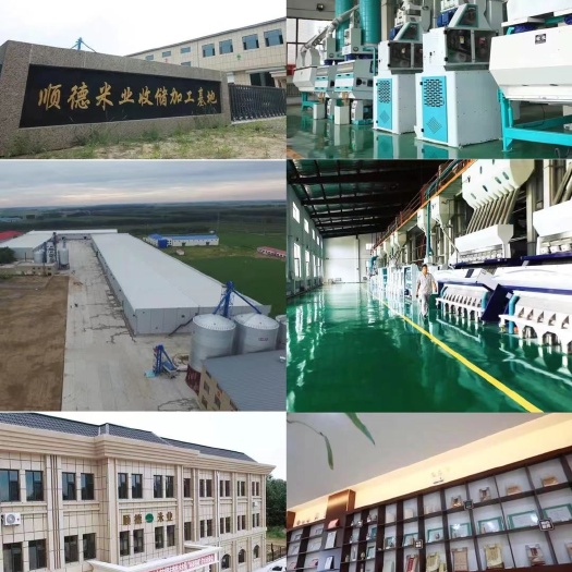 海伦市黄大豆  东升系列