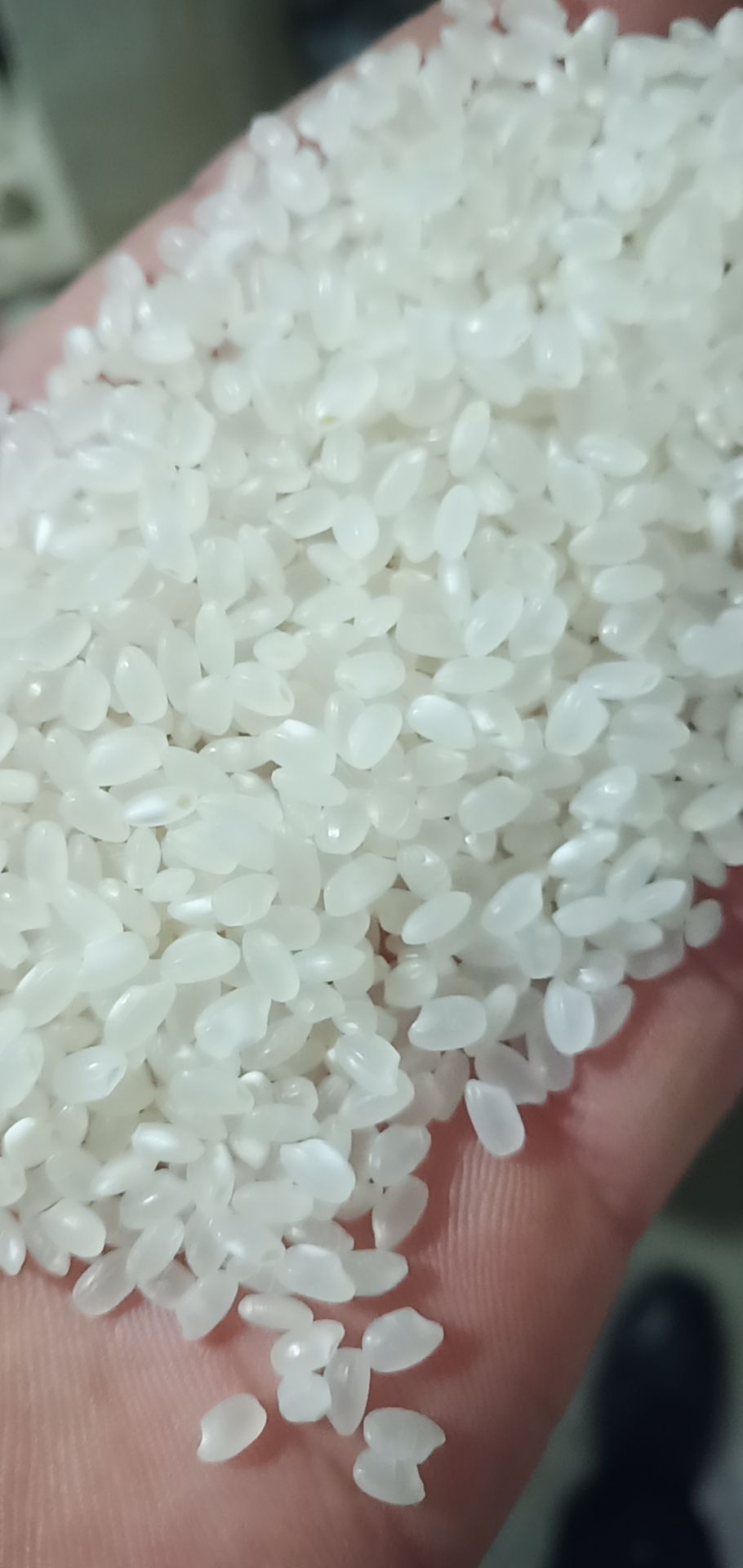 粳米 河北省唐山市滦南县 一等品 一季稻 粳米 