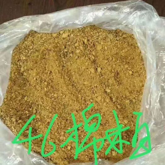 西安 46蛋白棉粕