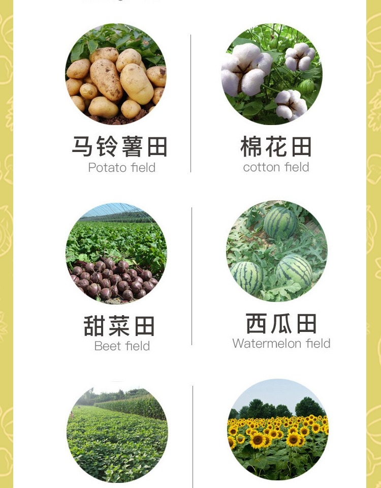 先正达金都尔 精异丙甲草胺 菜地瓜田杂草苗前封闭封地除草剂