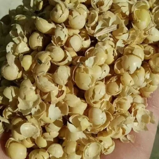 石家庄麦糠 牛羊主料，豆皮，玉米白皮