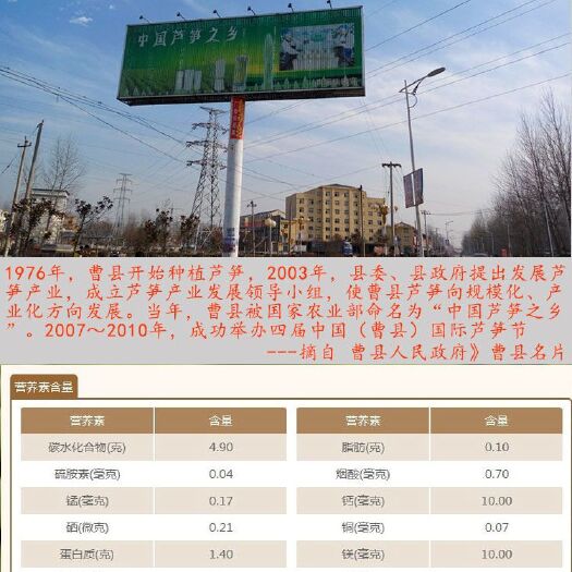 曹县三年芦笋苗芦笋根