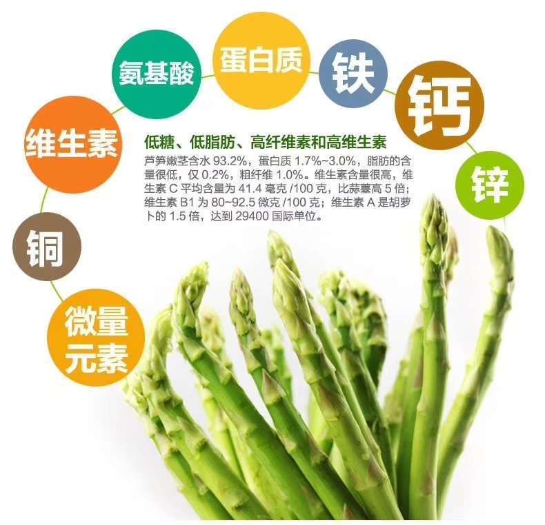 三年芦笋苗芦笋根