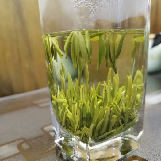 成都雀舌茶 马边高山雀舌