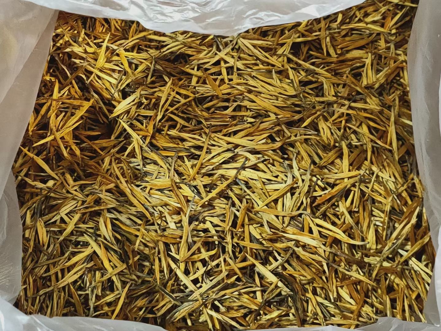 滇红金针 古树小龙珠茶