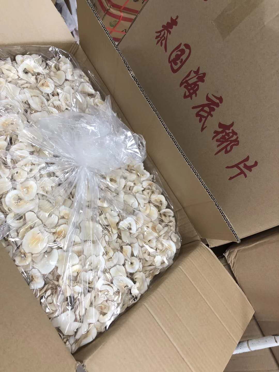 海底椰  海底椰片  片 泰国无硫片 供应 大量现货