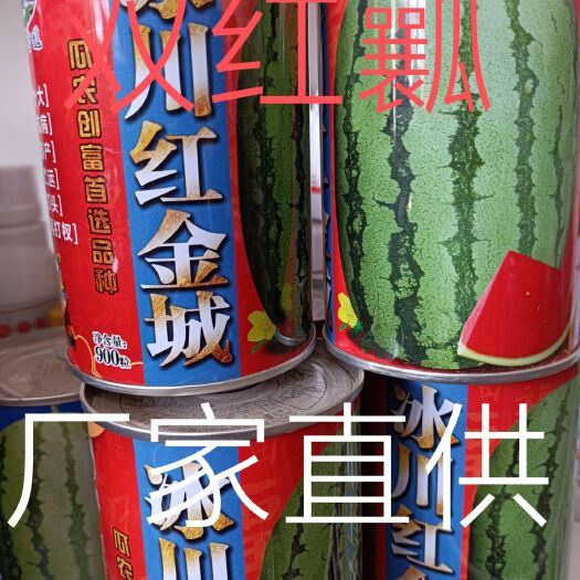 商丘金城五号西瓜种子  冰川红金成中早熟大红瓤耐高温