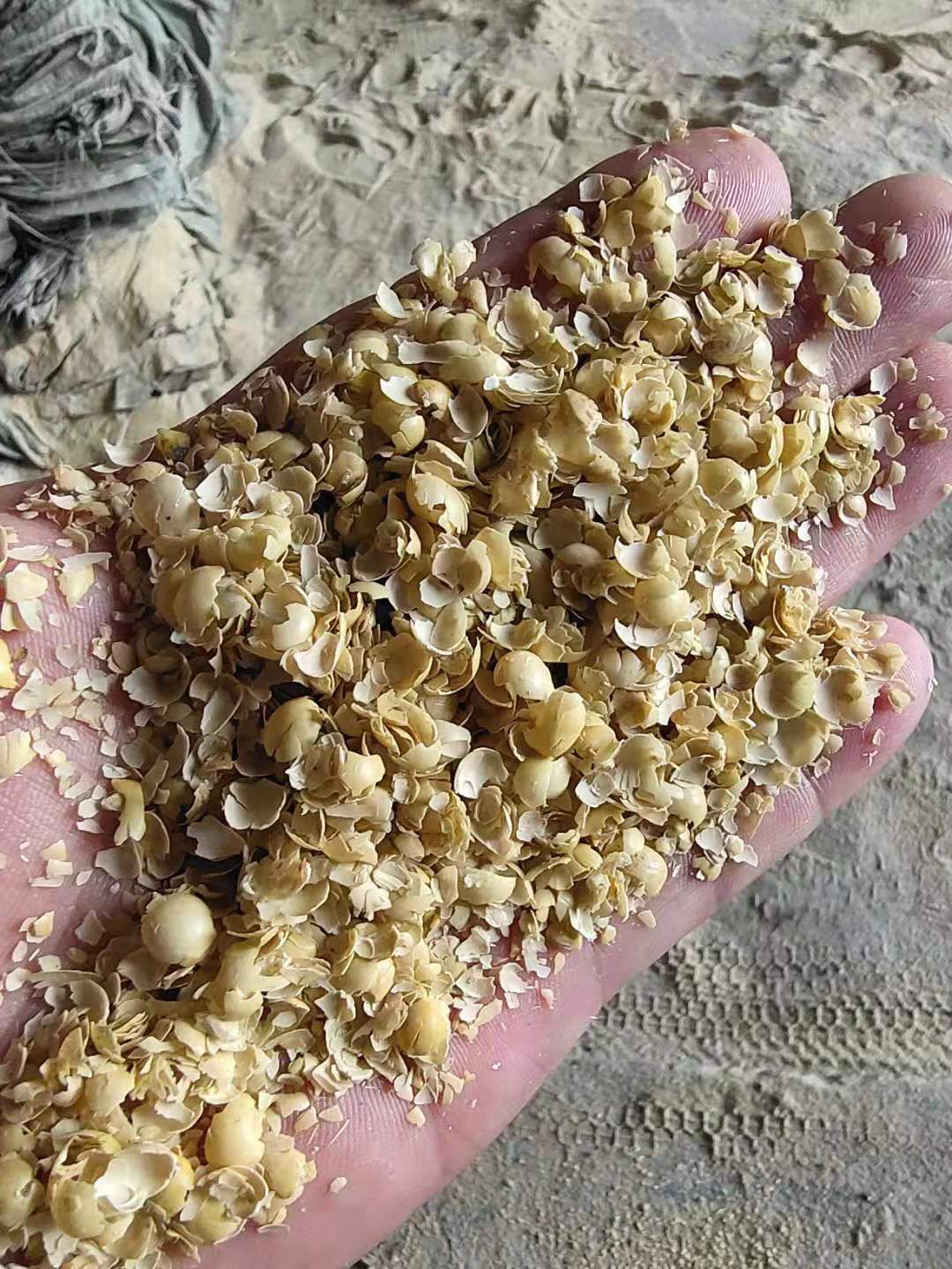 麦糠 牛羊主料，豆皮，玉米白皮