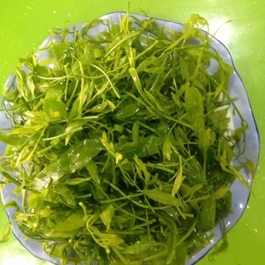 建水县甜菜头 云南野生甜菜  每年只有3/7月发芽 量少 味美 地方特色