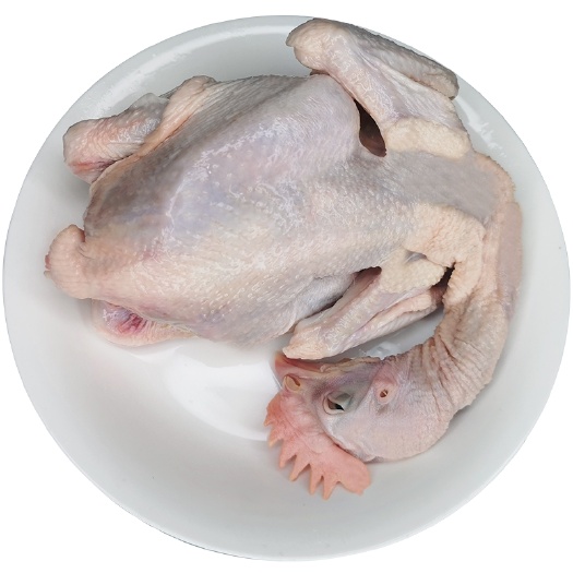 广州肉鸡  麻公