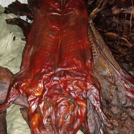 龙山县腊肉  湘西腊小猪，松柏树枝熏制。