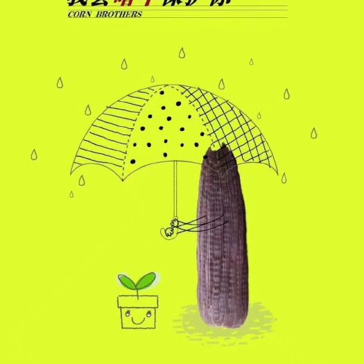巴彦淖尔紫玉米粒 新 紫玉米，干玉米粒！花青素含量高