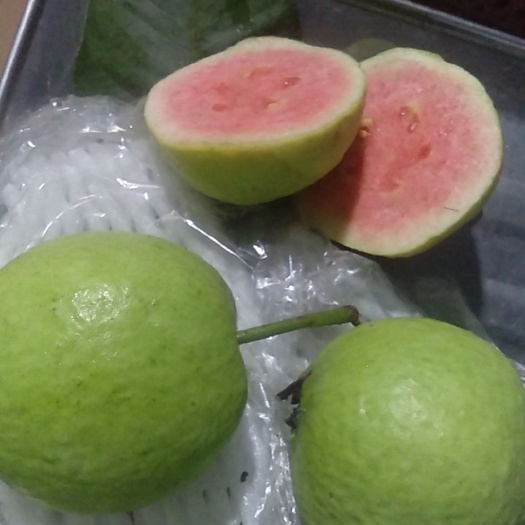 信宜市自家种的有机皮薄甜脆无核的红心番石榴