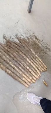 麻山药 精品麻山产地直销，价格低，质量高。