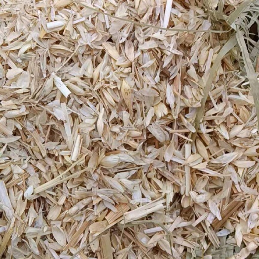 广宗县 大量提供麦糠