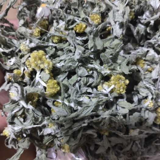 全州县新货清明菜 干货，清洗干净无杂质