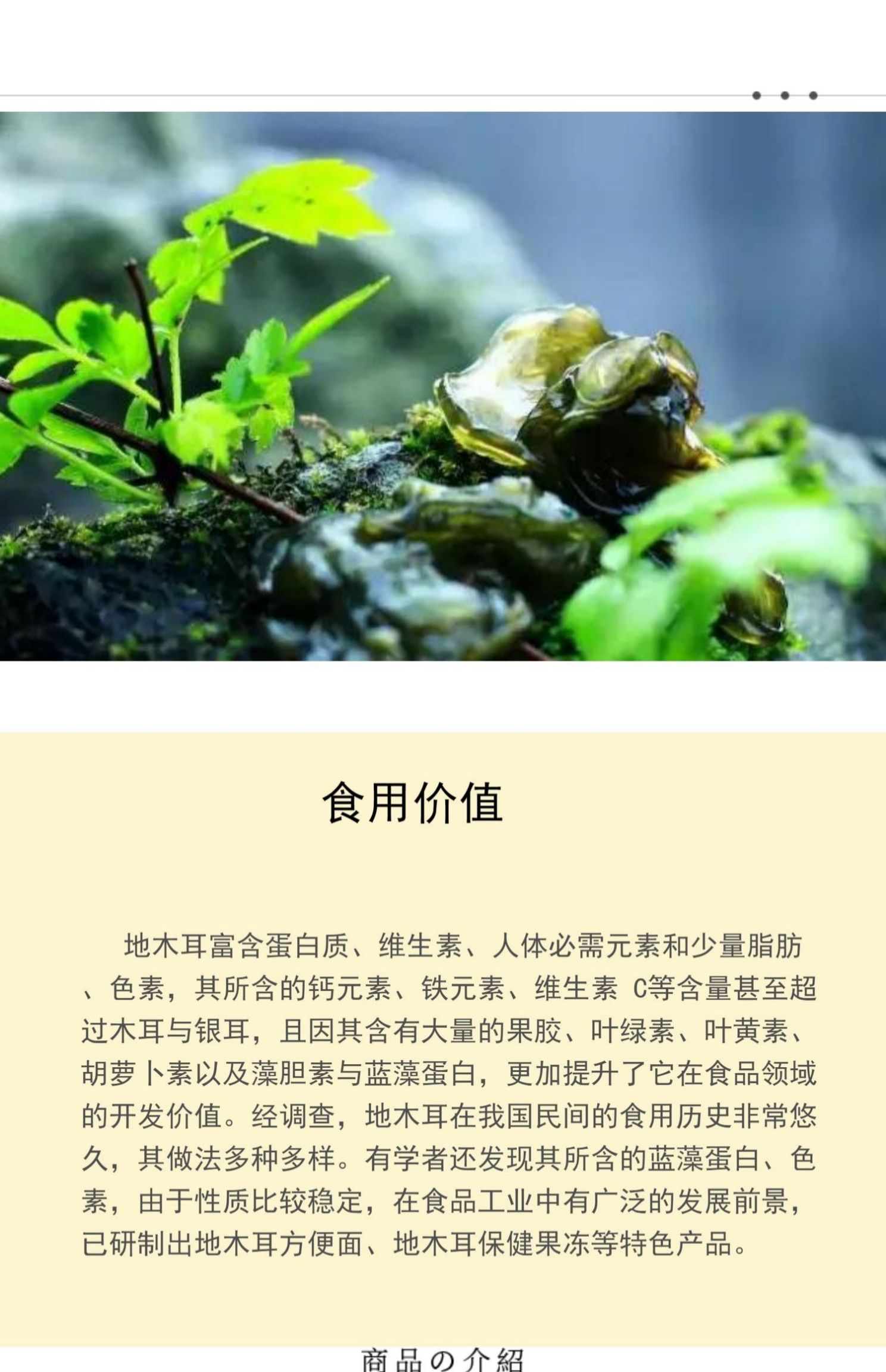 新鲜地皮菜湖南野生特产野菜现采地皮菇地达菜雷公菌地软软非干货