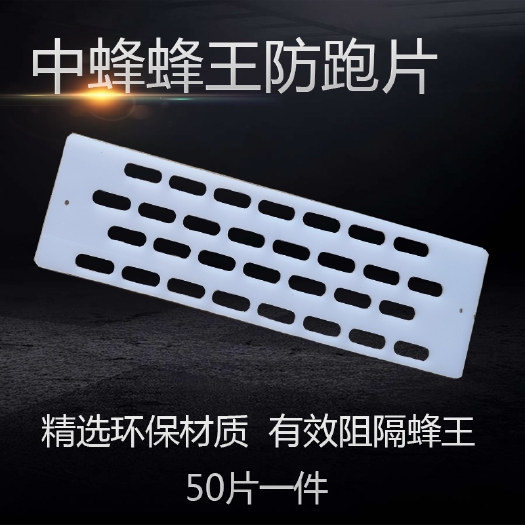 长葛市蜜蜂中蜂防跑王片中蜂片蜂箱巢门蜂王防跑片防盗蜂隔王片50