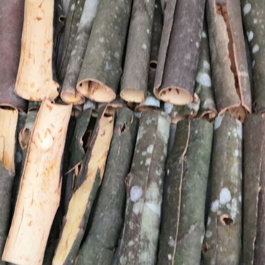 大新县中通桂皮  广西（越南）桂皮
