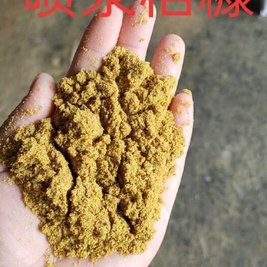 石家庄糠麸类饲料 厂家直供喷浆糠蛋白26－28，灰分15，水分12排单生产