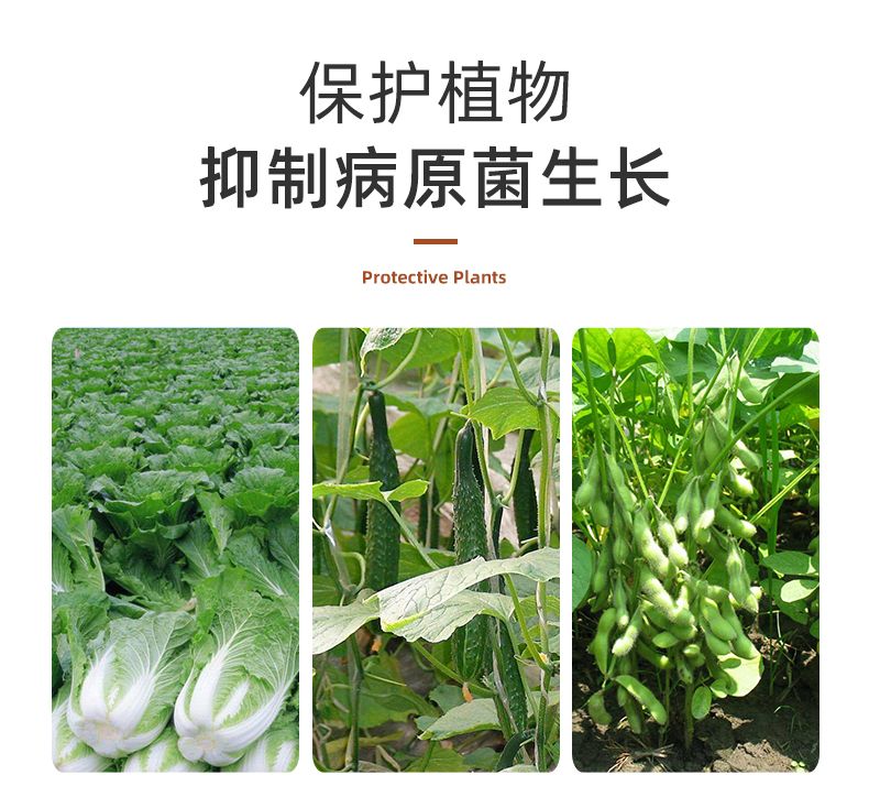 枯草芽孢杆菌微生物菌肥400亿/克微生物菌剂调理改良土壤根腐