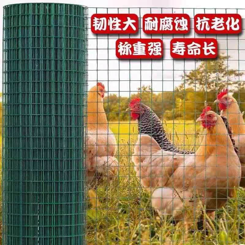 护栏网  荷兰网浸塑荷兰网养殖围栏网防护铁丝网隔离网