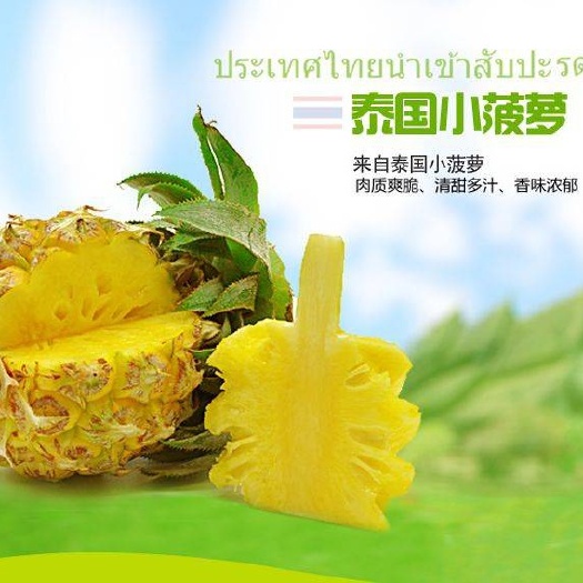上林县泰国迷你小菠萝香水菠萝香脆甜菠萝小凤梨普吉岛孕妇水果菠萝包邮