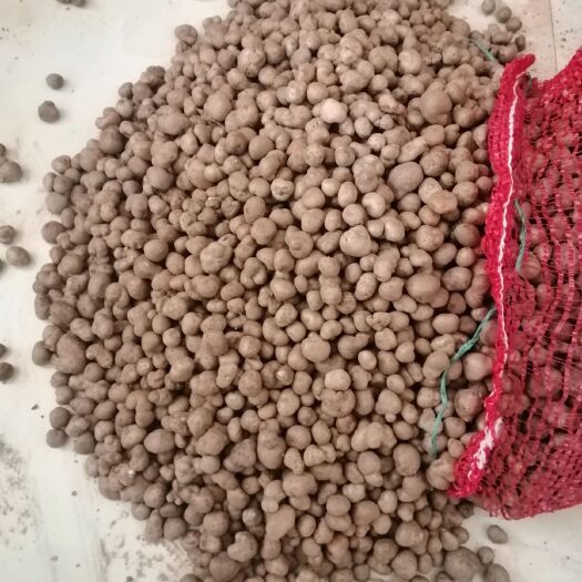 清丰县 分拣好的山药豆