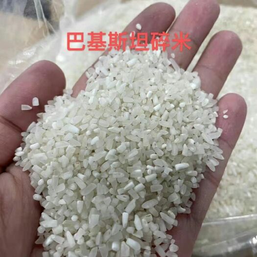 南京 巴基斯坦产普通碎米