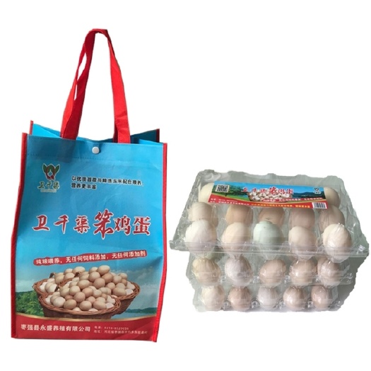 枣强县土鸡蛋  不喂饲料的散养鸡蛋