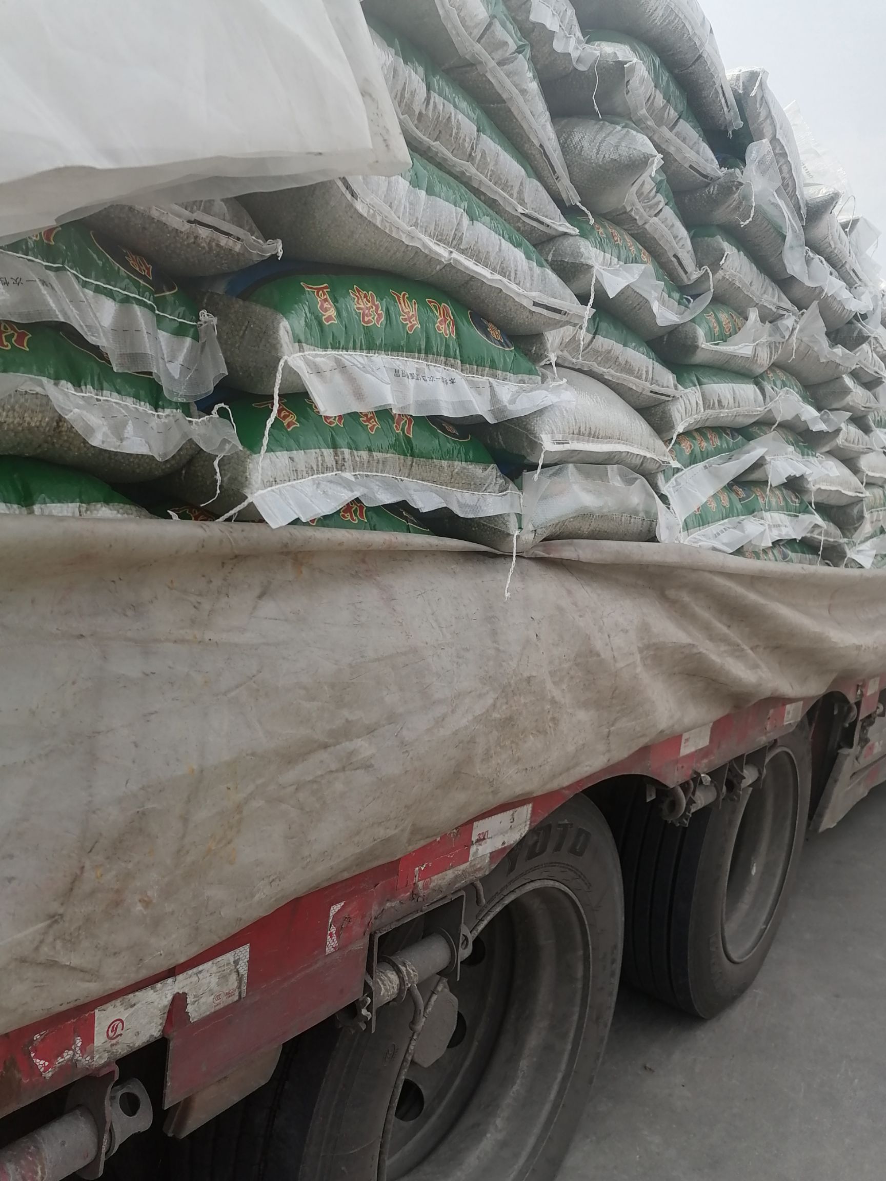 一手货源供应绿豆白芸豆红腰豆白糖及白糖配额玉米配额