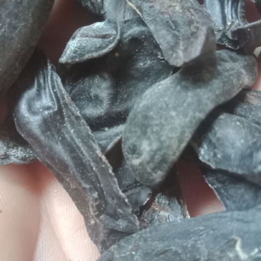 涡阳县鼻涕虫。