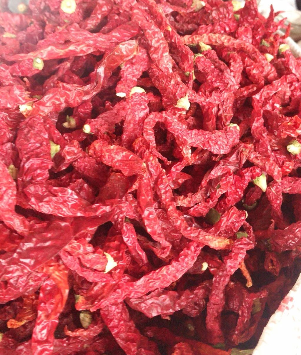 皱皮椒  线椒 新疆纵椒 香味好 红油效果佳 特香特辣 产地直销