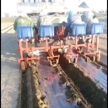 青州市插秧机 辣椒移栽机 秧苗移栽机 栽苗机 种植机 开始订货了