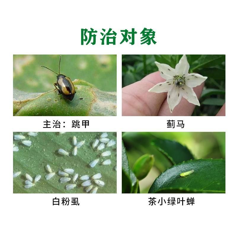 一览破甲马剑哒螨灵.噻虫胺默洲盾甲跳甲红蜘蛛螨虫粉虱蚜虫杀虫