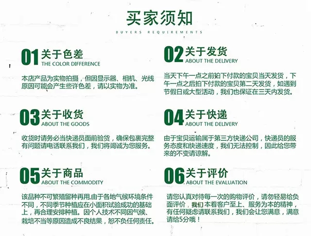 新玉绿白苦瓜种子早熟籽苗耐热春季下苗杂交蔬菜种籽