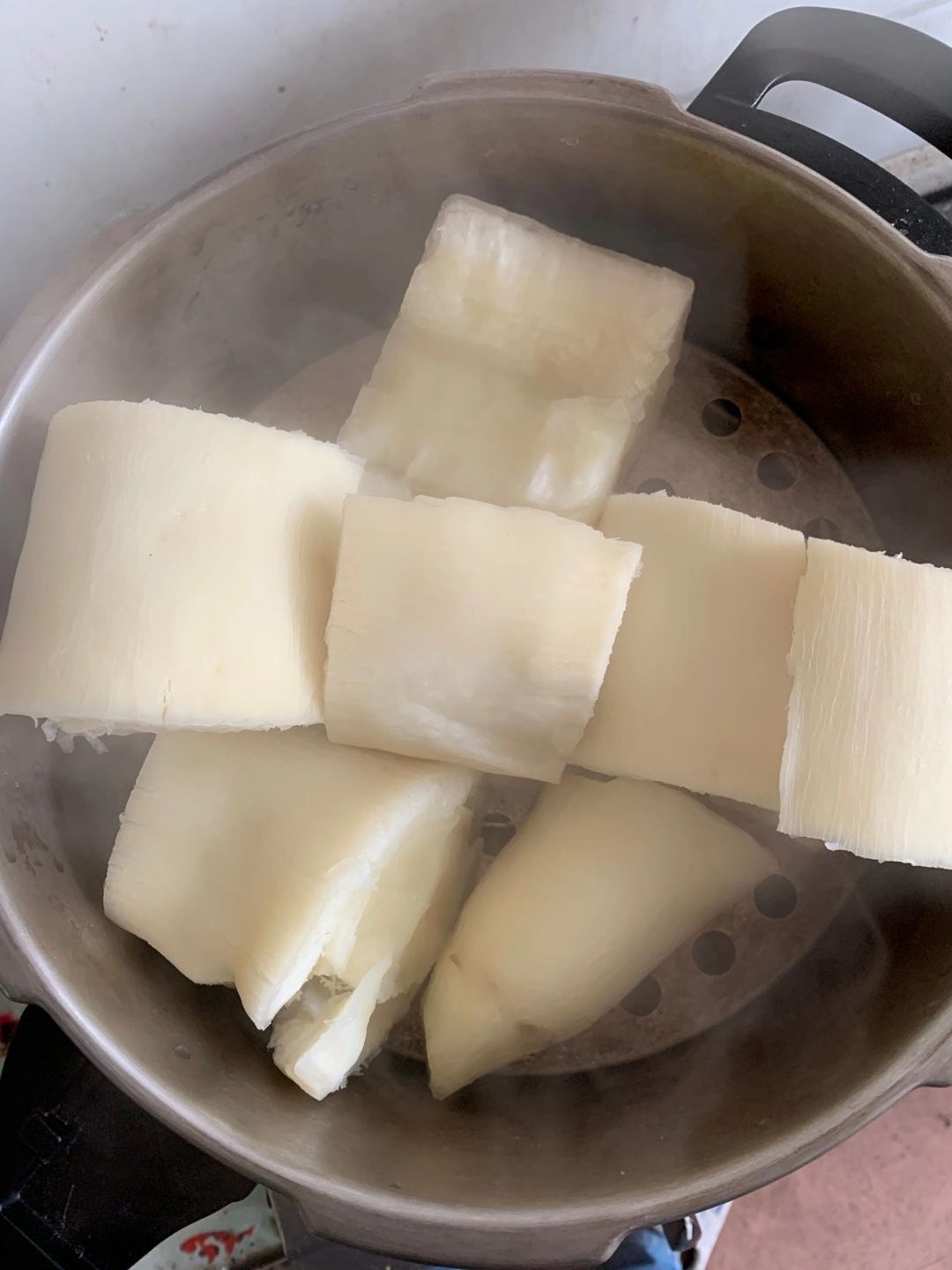 木薯种苗  广西红皮白肉面包木薯种