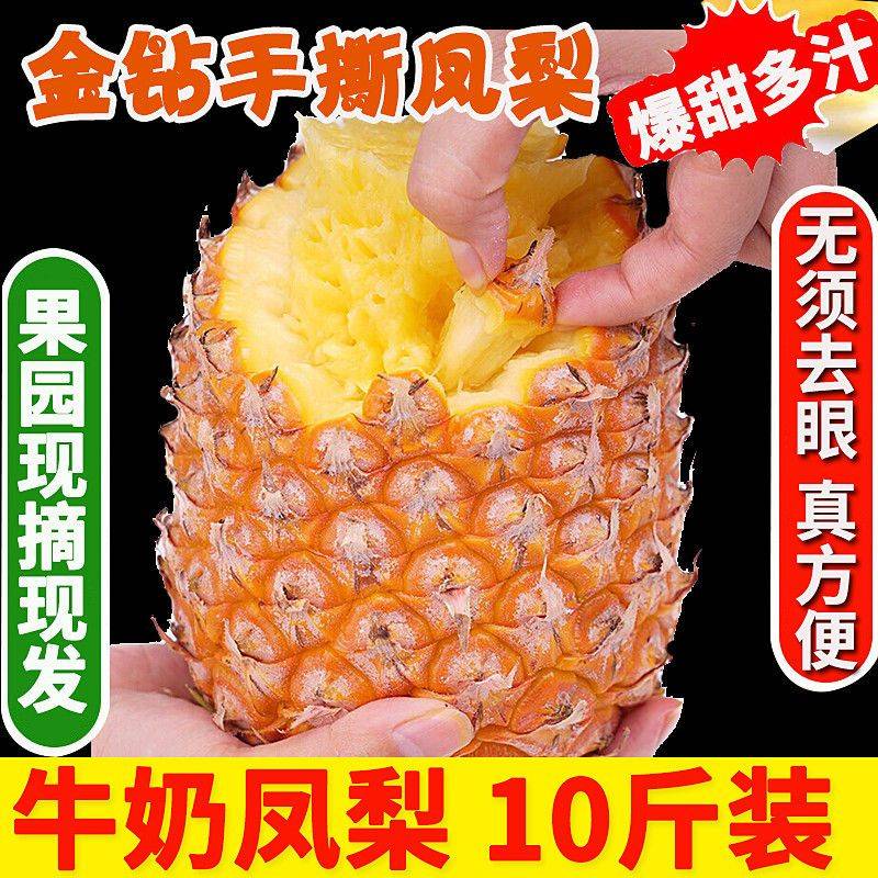 【甜汁】金钻凤梨新鲜水果手撕无眼凤梨菠萝应季水果包邮