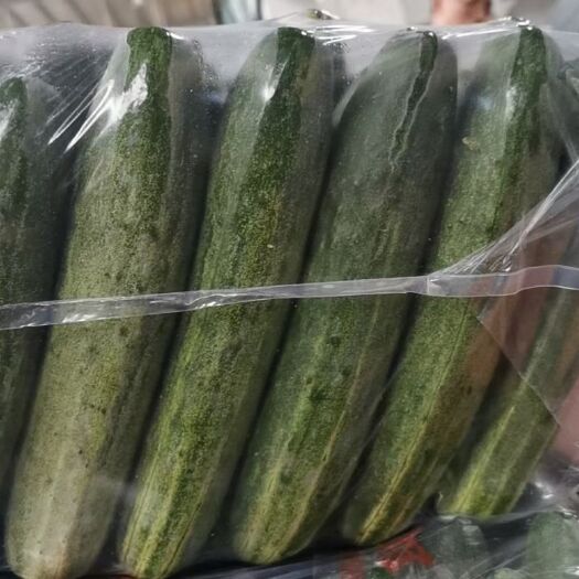 威远县燕白黄瓜 燕北黄瓜大量有货，价格一块，保证质量，有需要的老板联系。
