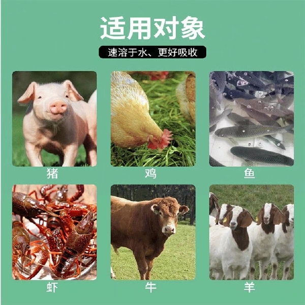 营养添加剂  猪鸡鸭羊牛驴鹅水产通用1公斤袋装5公斤10公斤25公斤桶装