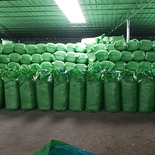 融水县蔗尾青贮 新鲜甘蔗尾加工发酵的饲料，适合牛 羊养殖户。价格实