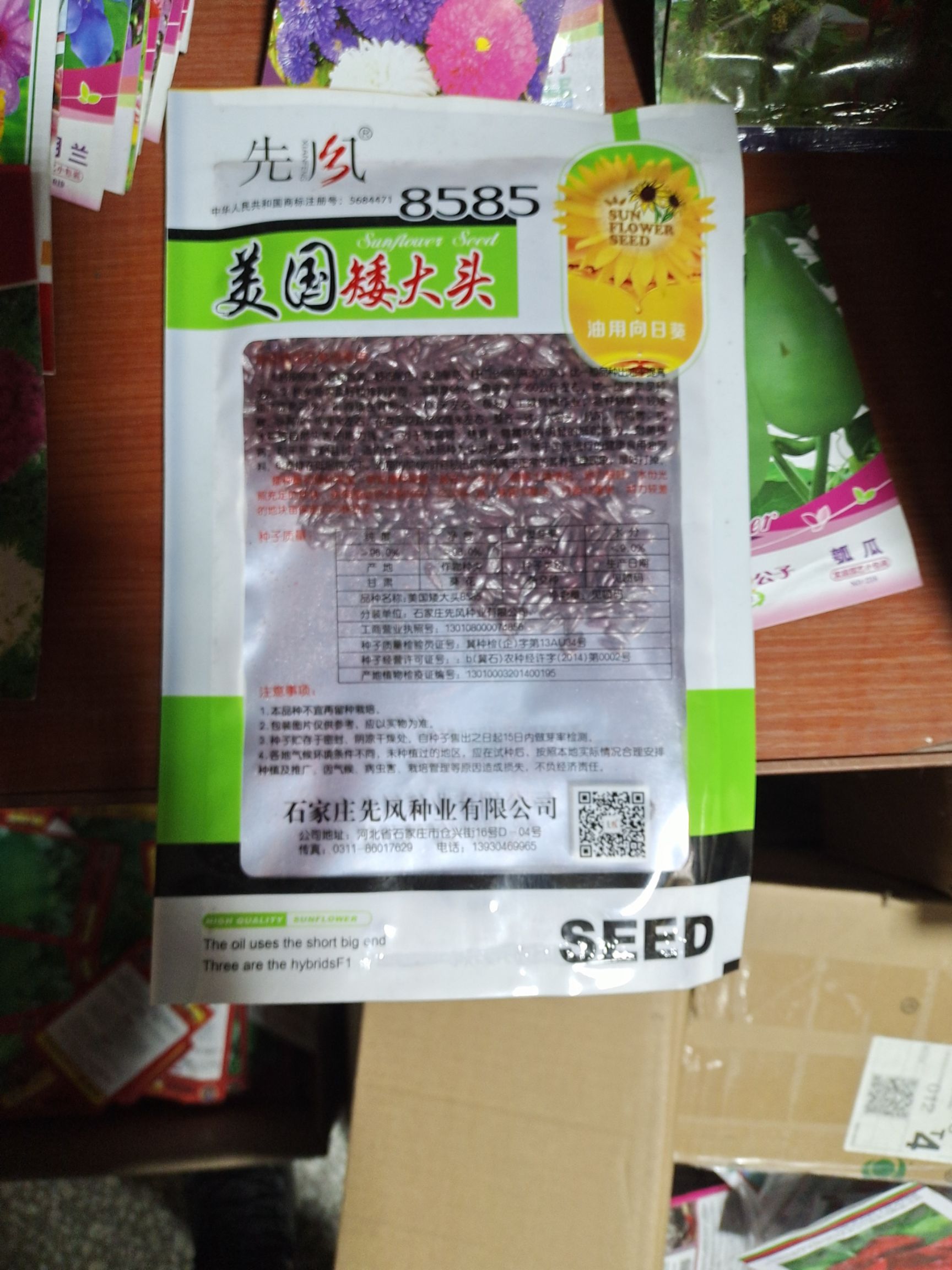 高产油葵种子 矮杆大头抗倒伏 出油率高