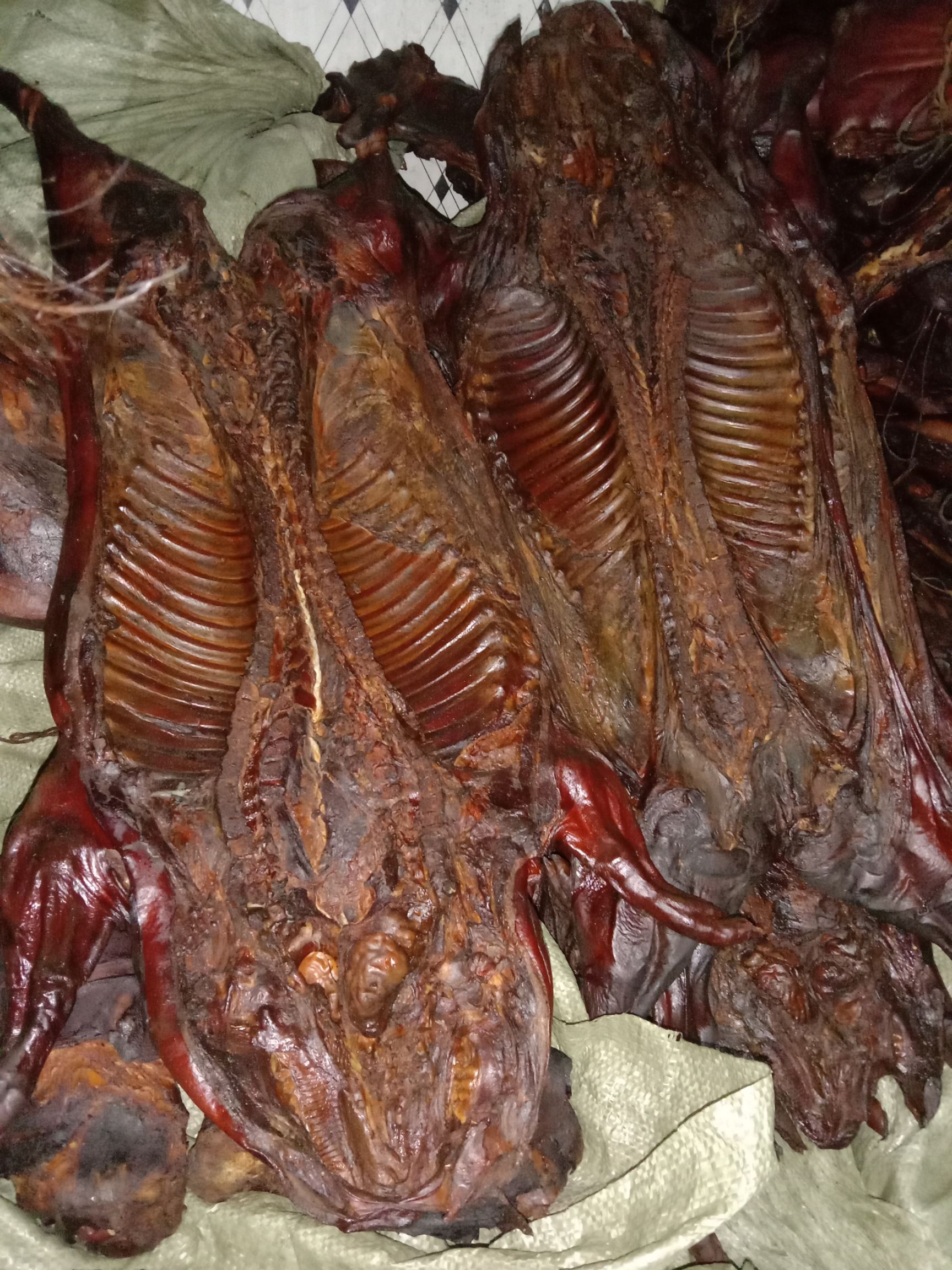 腊肉 湘西松柏枝熏烤腊小猪