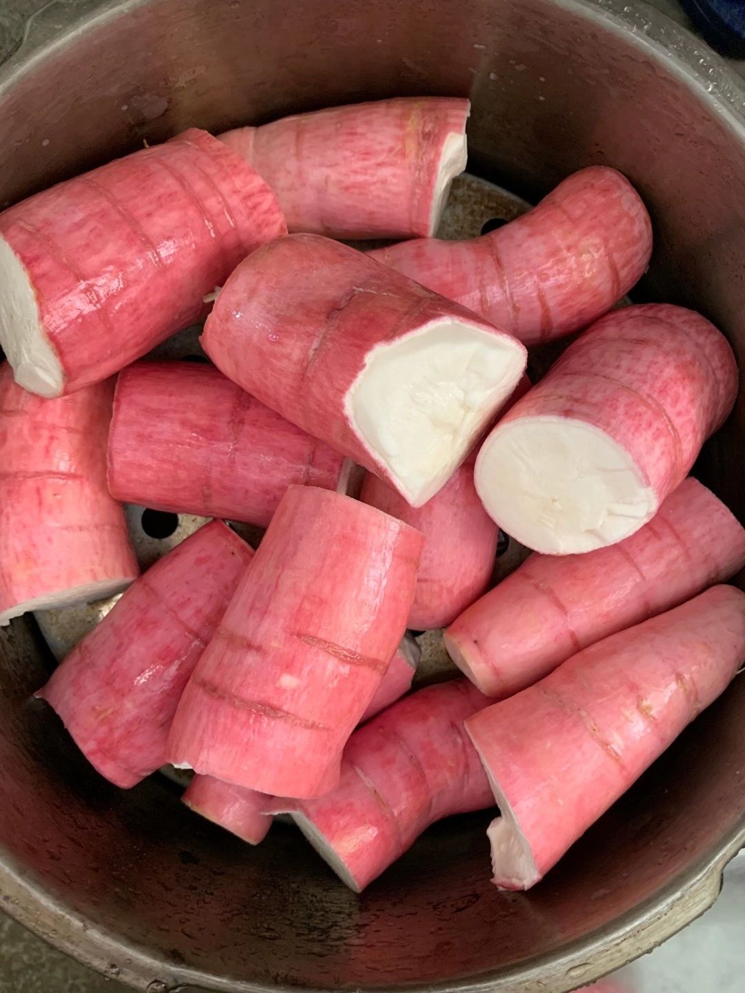 木薯种苗  广西红皮白肉面包木薯种