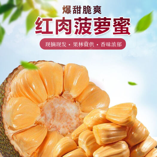 东兴市越南红肉菠萝蜜工厂直销