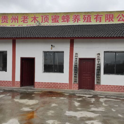  老木顶蜂业中蜂