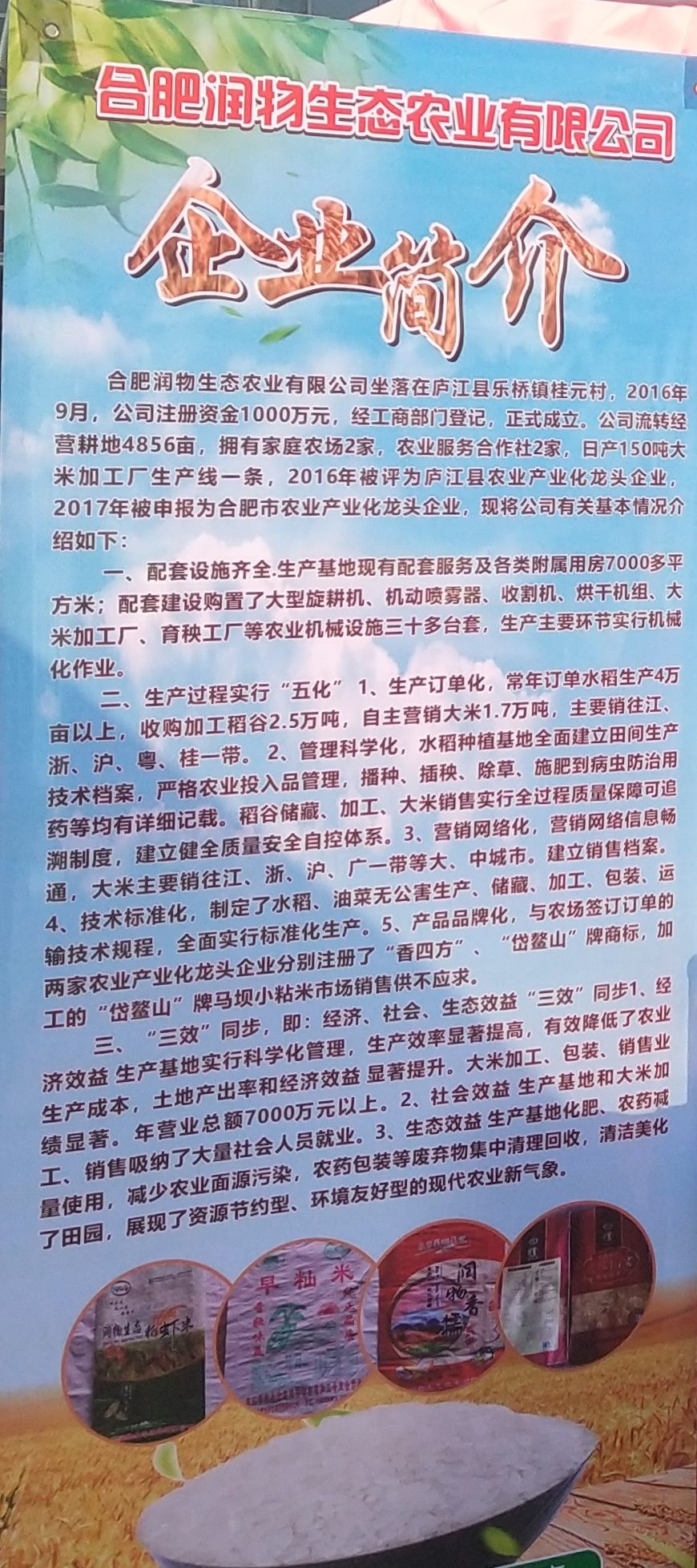 糯米 安徽省合肥市庐江县 粳米 一等品 一季稻