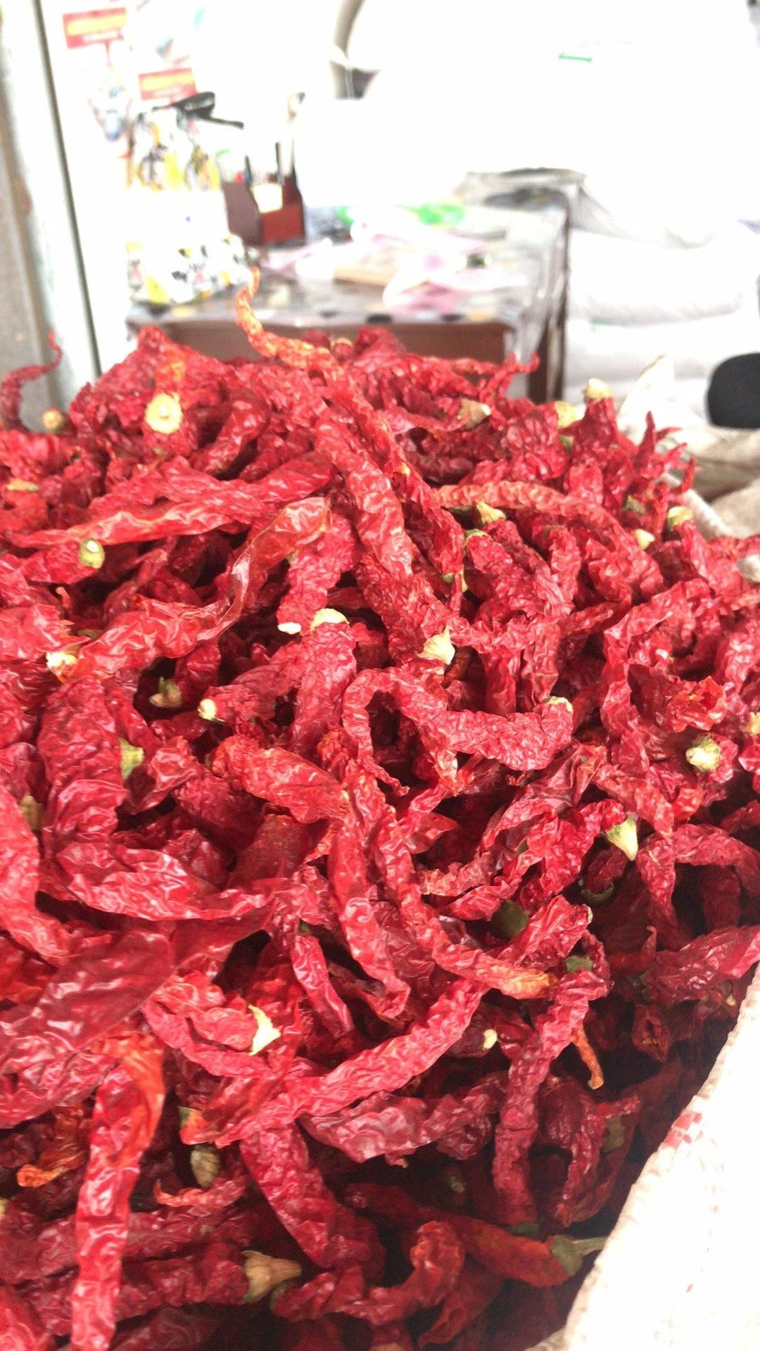 皱皮椒  线椒 新疆纵椒 香味好 红油效果佳 特香特辣 产地直销