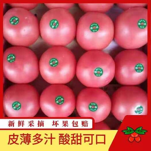 硬粉西红柿  西红柿，超市，市场实力代收，诚信第