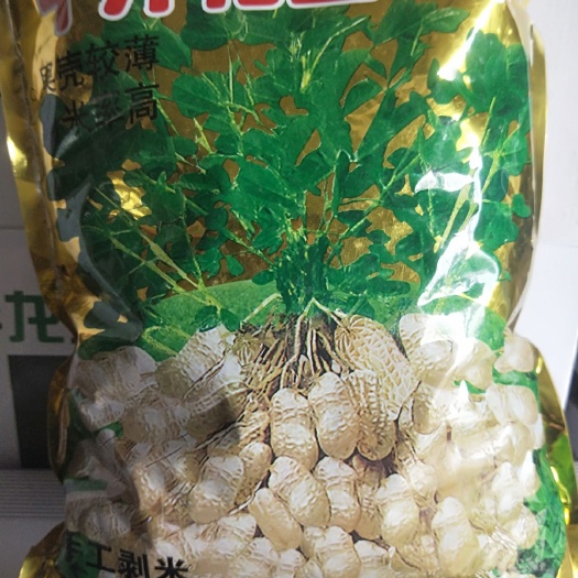 夏邑县濮科花4号花生种子  国审杂交，手工拨米